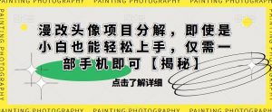 漫改头像项目分解,即使是小白也能轻松上手,仅需一部手机即可【揭秘】-88共享