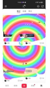 冷门高利润项目,小红书带货,无脑搬运,一部手机实现日入500+【揭秘】-88共享