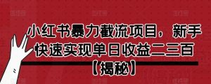 小红书暴力截流项目，新手快速实现单日收益二三百【仅揭秘】-88共享