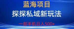 蓝海项目,探探私域新玩法,一部手机日入500+很轻松【揭秘】-88共享