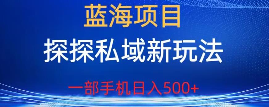 蓝海项目，探探私域新玩法，一部手机日入500+很轻松【揭秘】-88共享