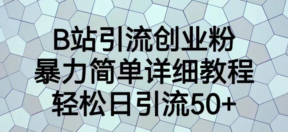 B站引流创业粉，暴力简单详细教程，轻松日引流50+【揭秘】-88共享