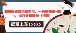 极速版无费用薅羊毛,一天躺赚10-50+,小白无脑操作【拆解】-88共享