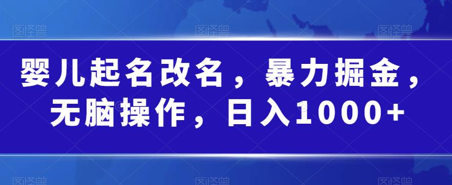 婴儿起名改名，暴力掘金，无脑操作，日入1000+【揭秘】-88共享