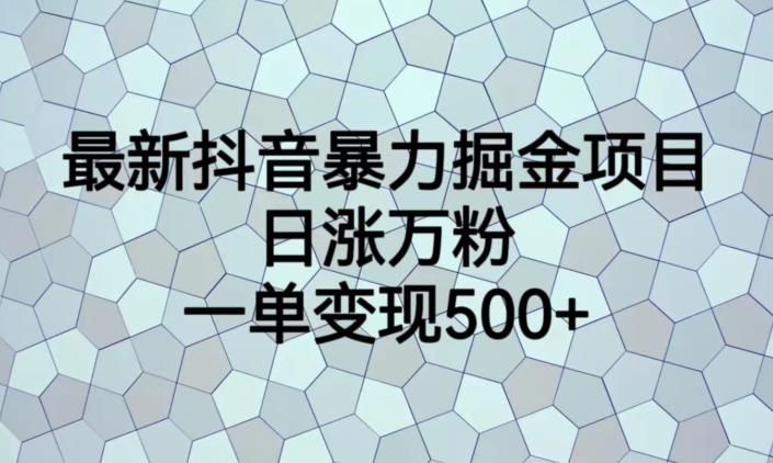 最新抖音暴力掘金项目，日涨万粉，一单变现500+【揭秘】-88共享