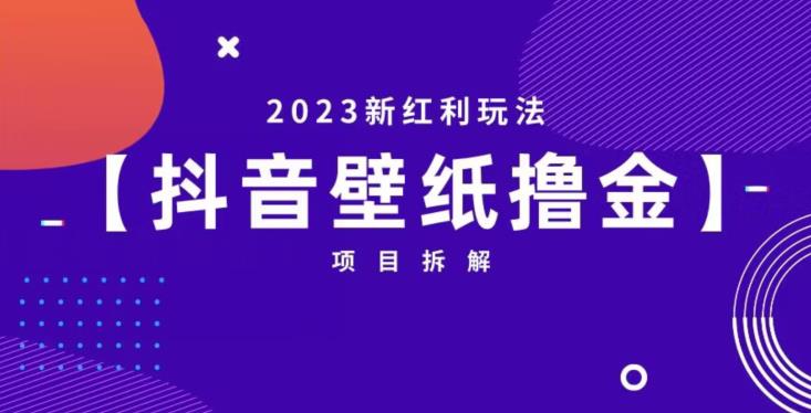 抖音壁纸小程序创作者撸金项目，2023新红利玩法【项目拆解】-88共享