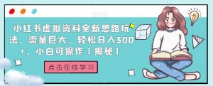 小红书虚拟资料全新思路玩法，流量巨大，轻松日入300+，小白可操作【揭秘】-88共享
