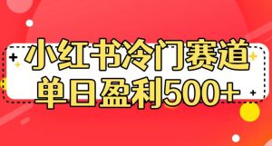 小红书冷门赛道，单日盈利500+【揭秘】-88共享
