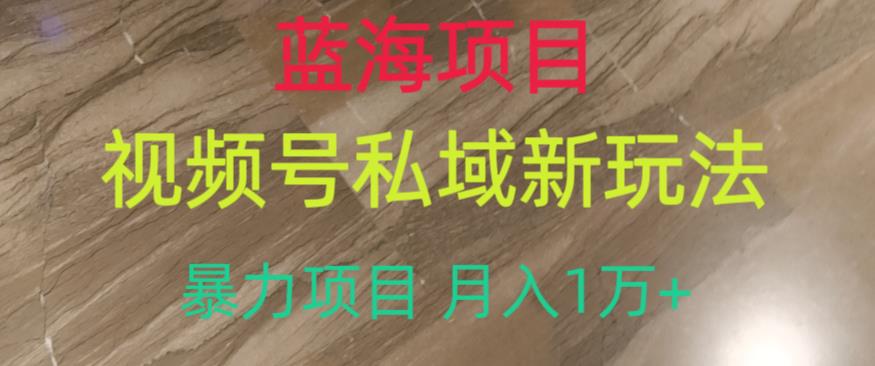 蓝海项目，视频号私域新玩法，暴力项目月入1万+【揭秘】-88共享