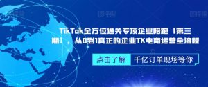 TikTok全方位通关专项企业陪跑【第三期】,从0到1真正的企业TK电商运营全流程-88共享