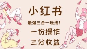 小红书最强三合一玩法,一份操作获得三份收益!【揭秘】-88共享