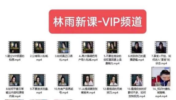 林雨新课VIP频道，玩赚私域/朋友圈/社群-88共享