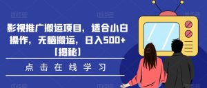 影视推广搬运项目，适合小白操作，无脑搬运，日入500+【揭秘】-88共享