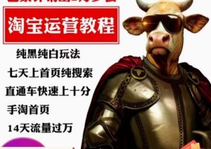 猫老师·淘系算法逆向解密,纯黑纯白玩法,七天上首页纯搜索,手淘首页14天流量过万-88共享
