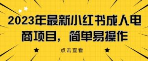2023年最新小红书成人电商项目,简单易操作【详细教程】【揭秘】-88共享