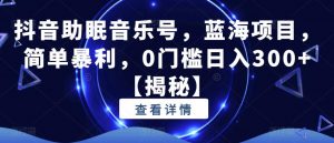 抖音助眠音乐号,蓝海项目,简单暴利,0门槛日入300+【揭秘】-88共享