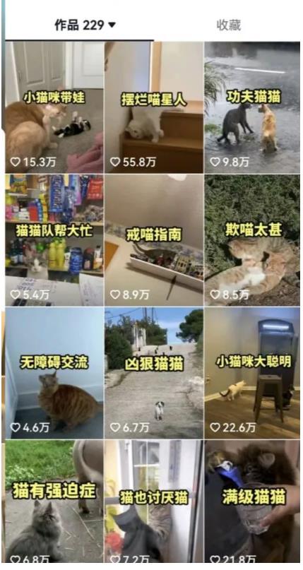 拆解：抖音盘点类中视频变现副业项目，视频版一条龙大解析分享给你-88共享
