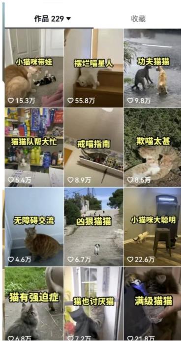拆解抖音盘点类中视频变现副业项目，视频版一条龙大解析分享给你【视频课程】-88共享