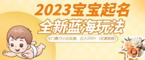 2023宝宝起名全新蓝海玩法,冷门暴力小白实操,日入1000+(全套教程)【揭秘】-88共享