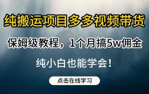 纯搬运项目多多视频带货保姆级教程，1个月搞5w佣金，纯小白也能学会【揭秘】-88共享