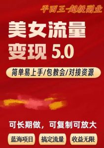 TK美女短视频变现项目无限复制(升级版),全网最高性价比项目【揭秘】-88共享