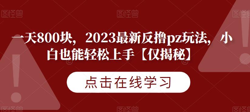 一天800块，2023最新反撸pz玩法，小白也能轻松上手【仅揭秘】-88共享