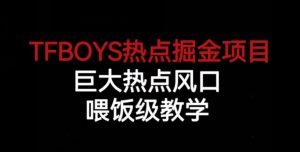 TFBOYS热点掘金项目，巨大热点风口，喂饭级教学-88共享
