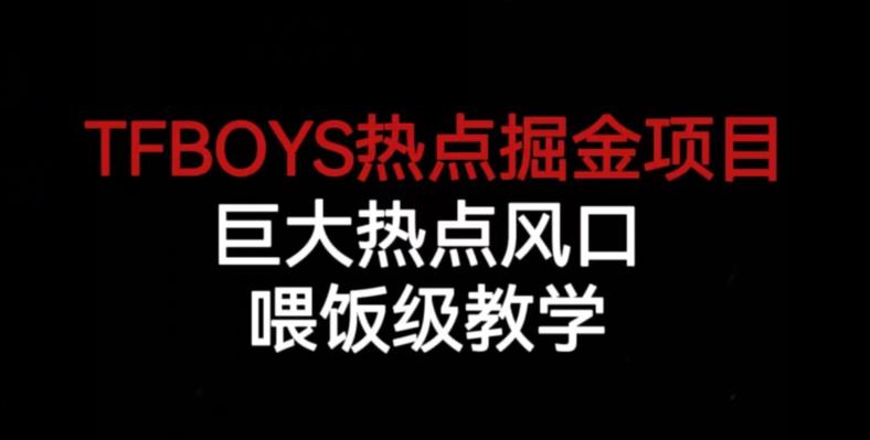 TFBOYS热点掘金项目，巨大热点风口，喂饭级教学-88共享