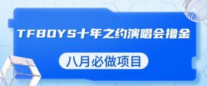 最新蓝海项目，靠最近非常火的TFBOYS十年之约演唱会流量掘金，八月必做的项目【揭秘】-88共享