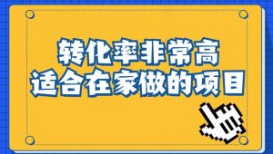 小红书虚拟电商项目:从小白到精英(视频课程+交付手册)-88共享