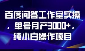 百度问答工作室实操,单号月产3000+,纯小白操作项目【揭秘】-88共享