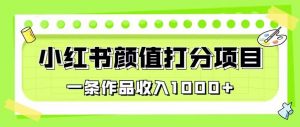 最新蓝海项目,小红书颜值打分项目,一条作品收入1000+【揭秘】-88共享