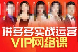推易拼多多VIP全套直播课程,拼多多店铺实操玩法+实战玩法选款内功+直通车高阶等-88共享