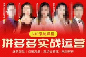 2023推易拼多多实战运营,选款测品、引爆流量、高点击转化、规则解析-88共享