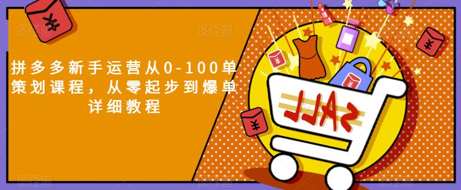 拼多多新手运营从0-100单策划课程，从零起步到爆单详细教程-88共享