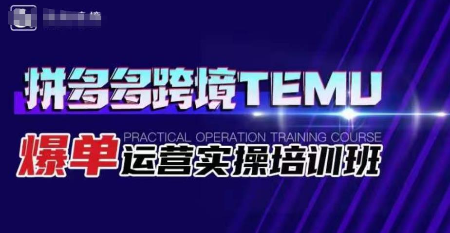 拼多多跨境TEMU爆单运营实操培训班，海外拼多多的选品、运营、爆单-88共享