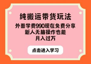 纯搬运带货玩法,外面学费990现在免费分享,新人无脑操作也能月入过万【揭秘】-88共享