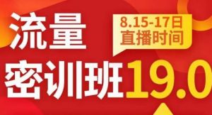 秋秋线上流量密训班19.0,打通流量关卡,线上也能实战流量破局-88共享