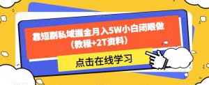 靠短剧私域掘金月入5W小白闭眼做(教程+2T资料)-88共享
