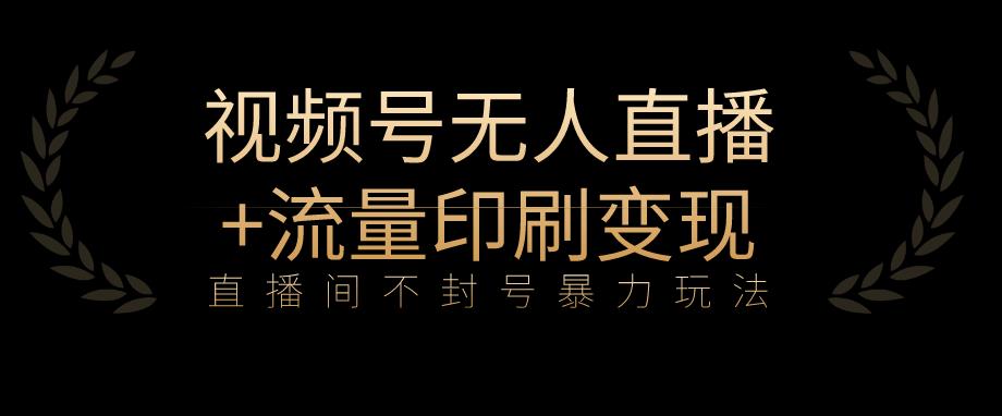 全网首发视频号不封号无人直播暴利玩法+流量印刷机变现，日入1000+【揭秘】-88共享