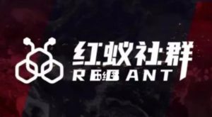 社群运营：红蚁社群【48节落地系统课程+2000人高端社群】-88共享