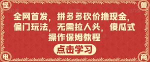全网首发,拼多多砍价撸现金,偏门玩法,无需拉人头,傻瓜式操作保姆教程【揭秘】-88共享