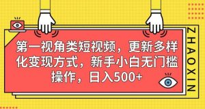 第一视角类短视频，更新多样化变现方式，新手小白无门槛操作，日入500+【揭秘】-88共享