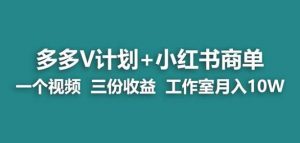 【蓝海项目】多多v计划+小红书商单一个视频三份收益工作室月入10w-88共享