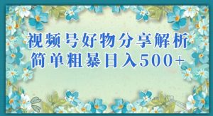 视频号好物分享解析，简单粗暴可以批量方大的项目【揭秘】-88共享
