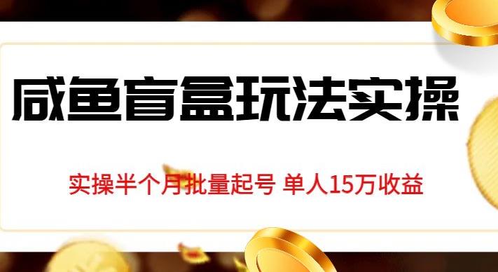独家首发咸鱼盲盒玩法实操，半个月批量起号单人15万收益【揭秘】-88共享