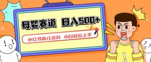 小红书育儿资料,一部手机可操作,多种变现方式,日入500+,私域变现,长期可持续项目【揭秘】-88共享