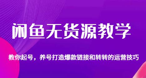 闲鱼无货源教学，教你起号，养号打造爆款链接以及转转的运营技巧-88共享