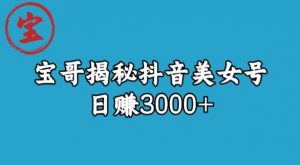 宝哥揭秘抖音美女号玩法,日赚3000+【揭秘】-88共享