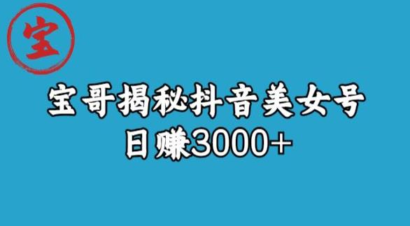 宝哥揭秘抖音美女号玩法，日赚3000+【揭秘】-88共享